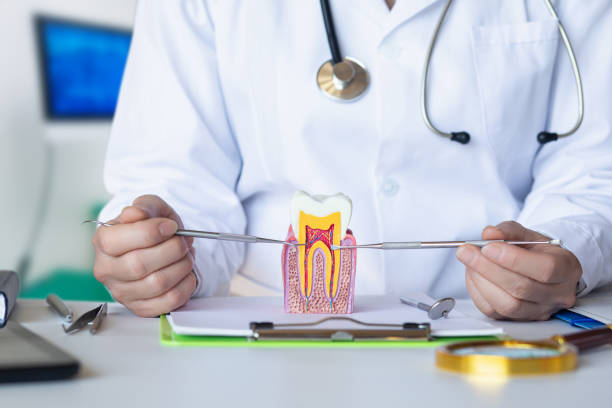 Best Emergency Dental Care for Broken or Chipped Teeth in Seat Pleasant, MD